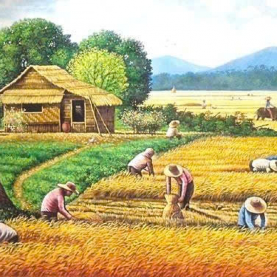 Tranh Sơn Dầu Cánh Đồng Lúa Chín
