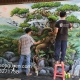 Đơn vị chuyên điêu khắc tranh phù điêu xi măng tại Phan Thiết